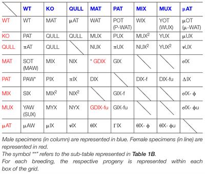 Keeping Track of the Genealogy of Heterozygotes Using Epigenetic Reference Codes and Breeding Tables